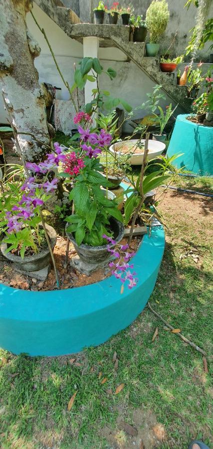 Jilan Homestay Bentota Ngoại thất bức ảnh