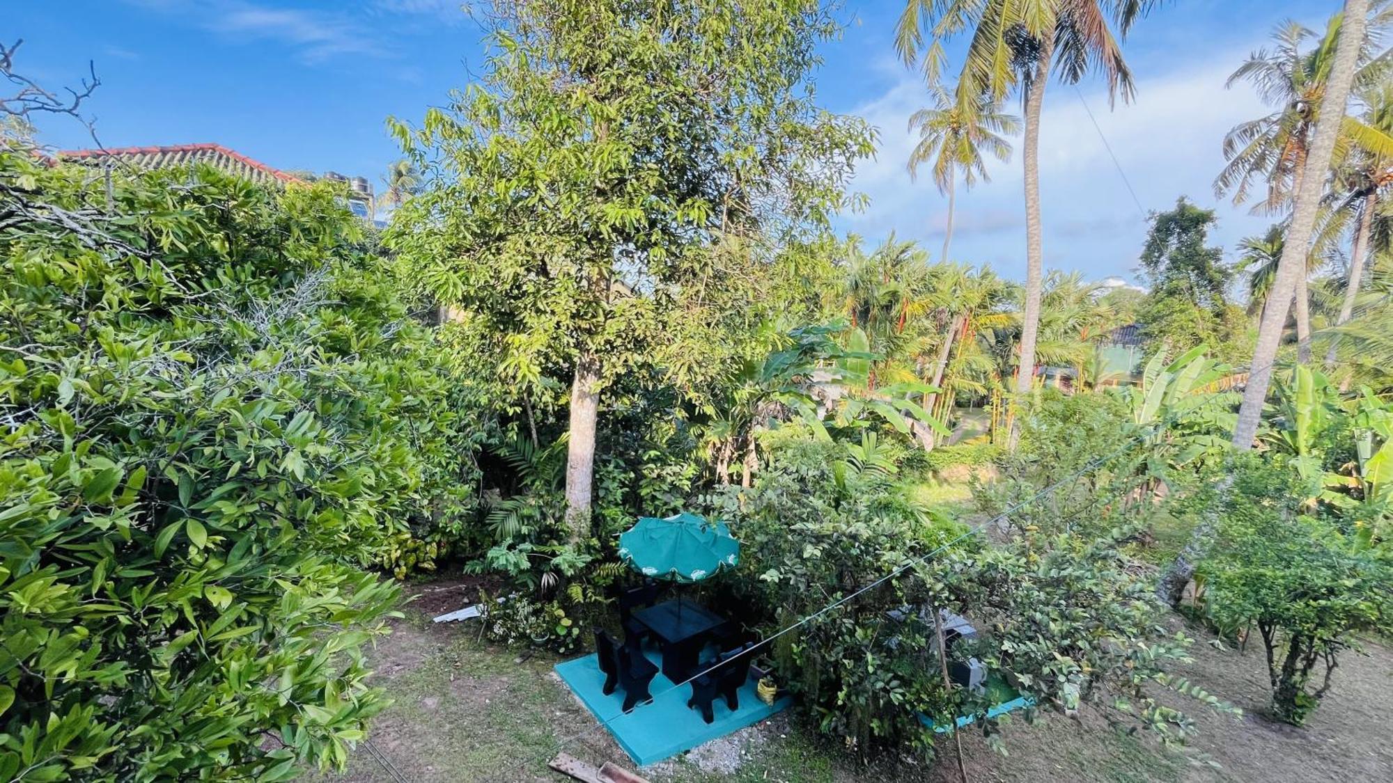 Jilan Homestay Bentota Ngoại thất bức ảnh